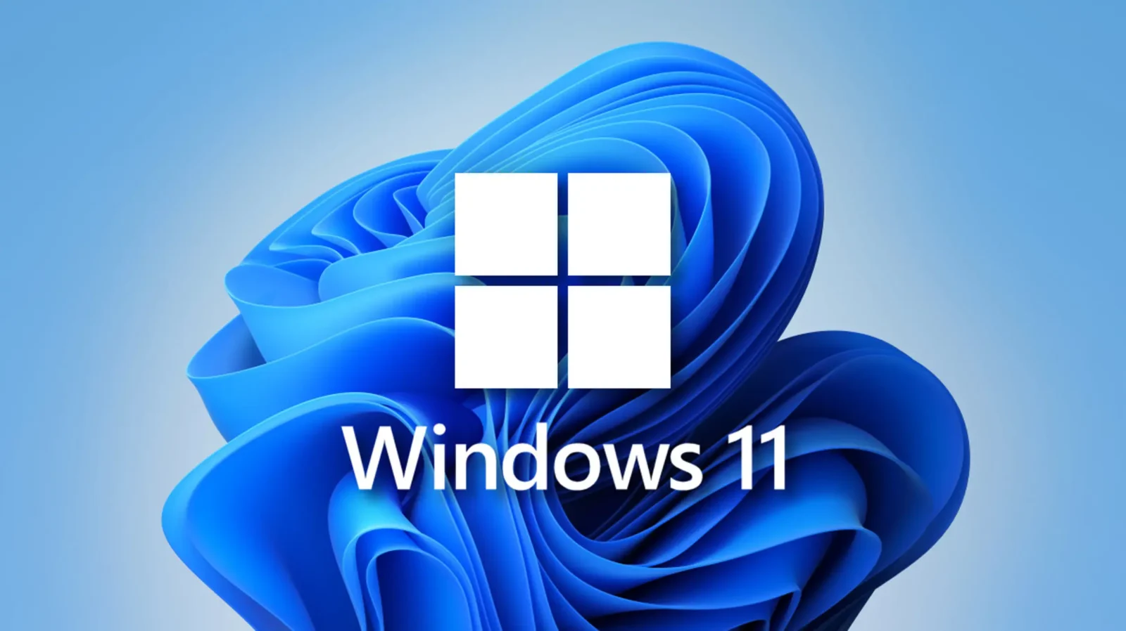 migracja do windows 11 usługa, pomoc IT