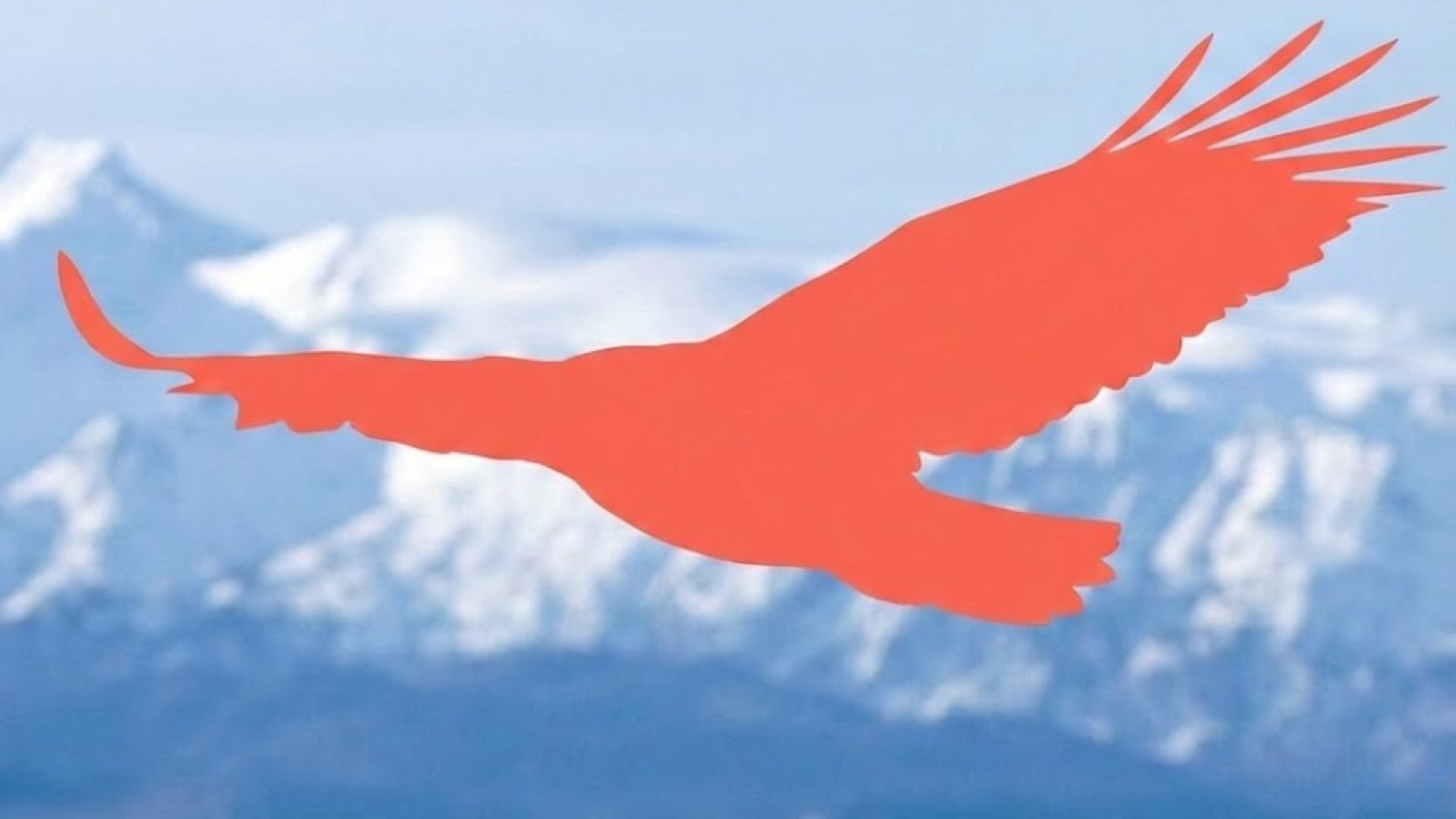 Bielik AI dla firm, konsulting IT, pomoc i doradztwo IT dla firm, obsługa informatyczna Warszawa